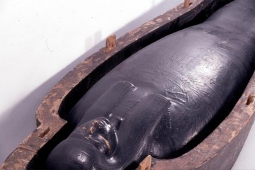 Таинственная черная слизь в египетских могилах демистифицирована.